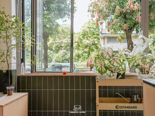 WIFi Ceramics New Project - Milk Tea Shop