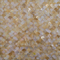 Yellow-Lip-Pearl-of-Mother-Shell-Mosaic-Factory