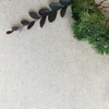 Large Format Limestone Design Tile for Living Room and Kitchen-Limes Pearl