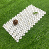 Calacatta Gold Penny Round Mosaic-CAG12