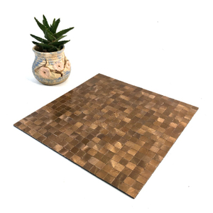 Peel and Stick Shower Wall Tiles