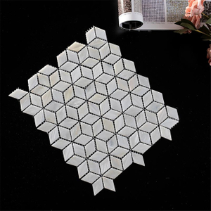 Cubic Design Shell Mosaic