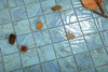 Pool Mosaic Designs - Sky Blue