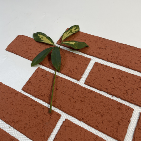 Natural Texture Mosaic Cladding