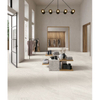 Hotel Anti-Slip Porcelain Tile-NST66043G 