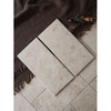 Villa Floor Tile-PD53
