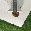 Sand Beige Square Mosaic -PBS331