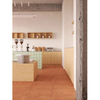 Decorative Floor Tiles For Coffe Shop-CR57