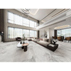 Smooth Shine Porcelain Tile-V157K902