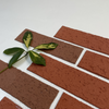Customizable Flexible Mosaic for Facade Design
