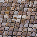 Fish-Scale-Shell-Mosaic-For-Home