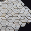 Cubic Design Shell Mosaic-SM03
