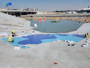 Dubai's Ecological Mosaic: Harmony in Care