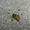 Mosaic Natural Stone