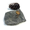 Natural Stone Walling