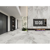 Smooth Shine Porcelain Tile-V157K902