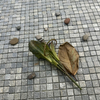 Mosaic Natural Stone
