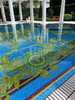 Mosaic Art for Sale