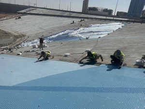 Dubai's Ecological Mosaic: Harmony in Care