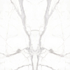 Royal Calacatta Sintered Stone