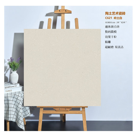 Ash Full Body Porcelain Tile-C621