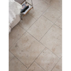 Villa Floor Tile-PD53