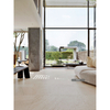 Sandstone Style Porcelain Tile-P6242