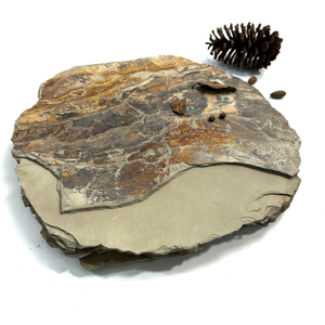 Natural Stone Mosaic Floor Tile