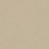 Anti Slip Bathroom Tile-C625