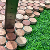 Red Travertine Penny Mosaic-TRR12