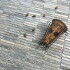 Mosaic Paver Stones
