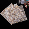 Mother of Pearl Shell Mosaic-SM01
