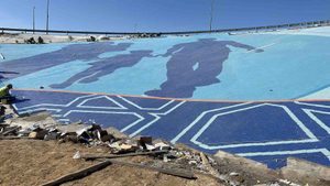 Dubai's Ecological Mosaic: Harmony in Care