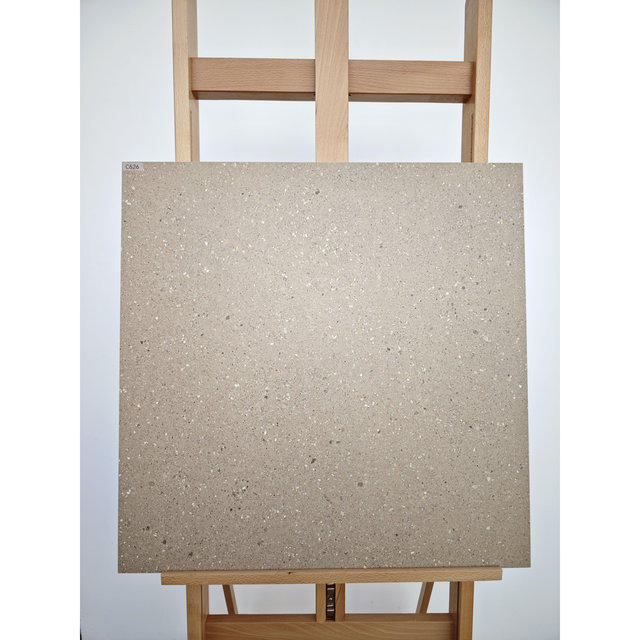 Bathroom Wall & Floor Porcelain Tile-C626