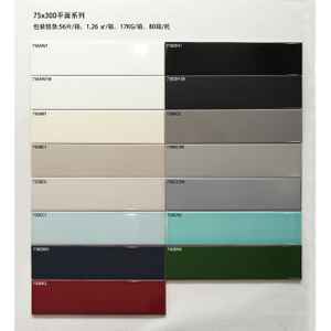 Flat Gloss Subway Tile