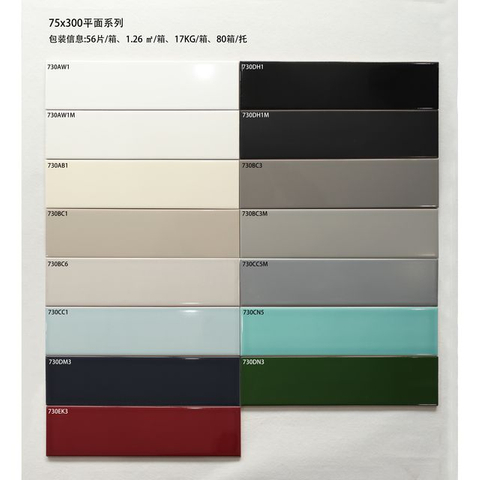 Flat Gloss Subway Tile